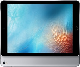 iPad Pro 1. Generation 9,7 Zoll Wi-Fi Space Grau